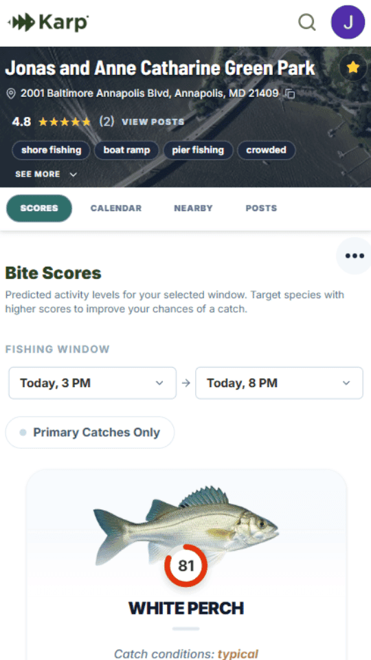 Mobile App View