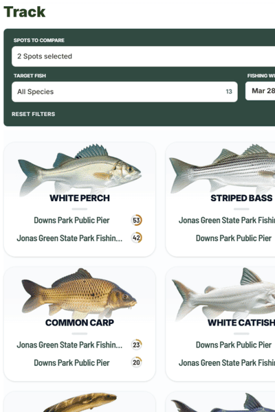 Compare Fishing Spots