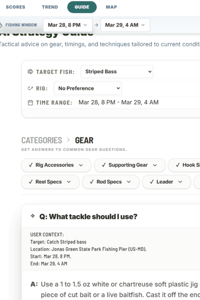AI Gear Recommendations