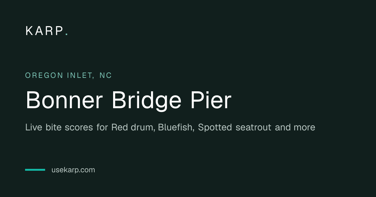 Bonner Bridge Pier Fishing Report | Karp